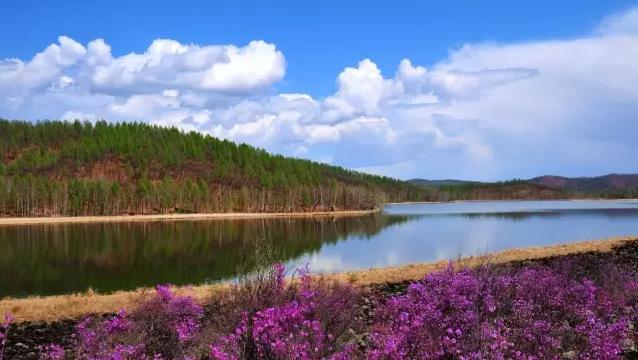 达尔滨湖感受自然生态旅游区