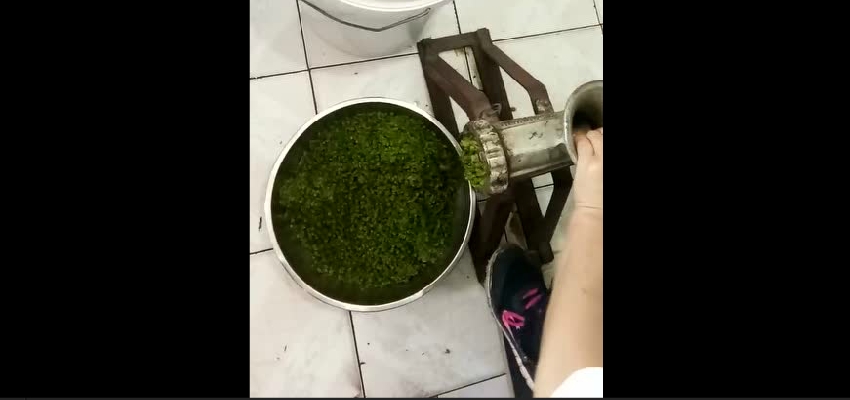 野韭菜花酱制作方法