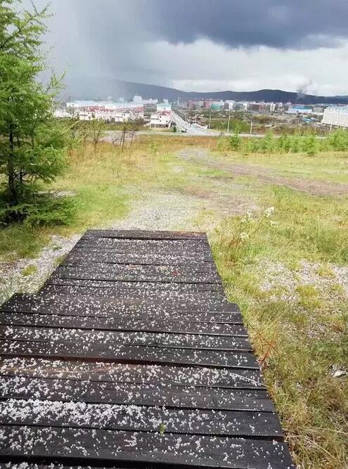 呼伦贝尔夏日飞雪不新鲜昨日阿里河又突降冰雹