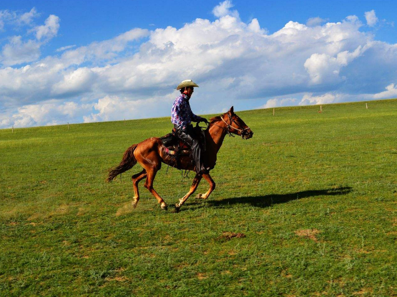 到呼伦贝尔大草原旅游有哪些与众不同的玩法骑马