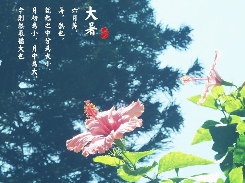 大暑是什么以及需要吃什么情况简介