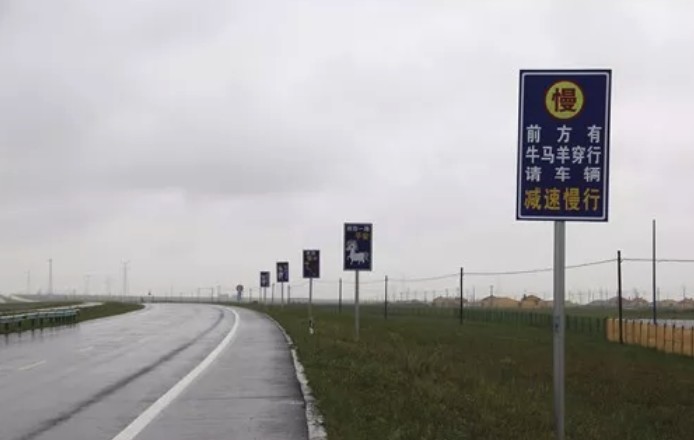 呼伦贝尔交警防隐患出新招 请留意路边提示牌