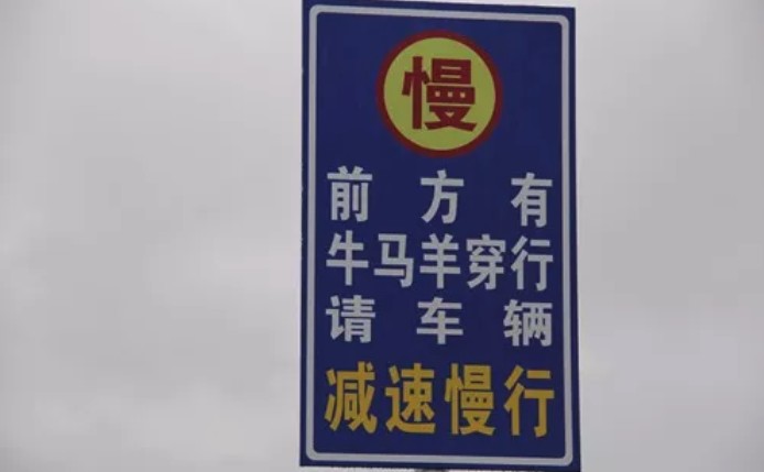 呼伦贝尔交警防隐患出新招 请留意路边提示牌