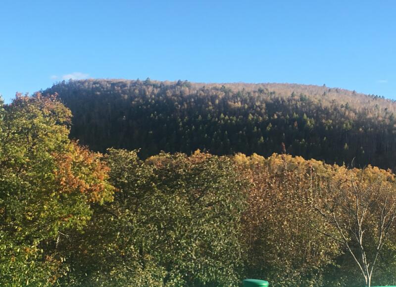 呼伦贝尔大草原秋季旅游游记