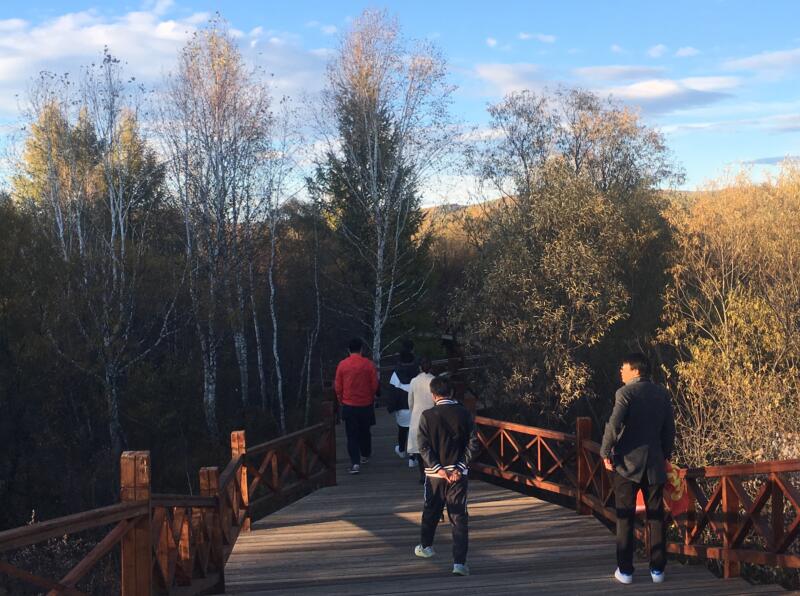 2018呼伦贝尔大草原秋季旅游游记