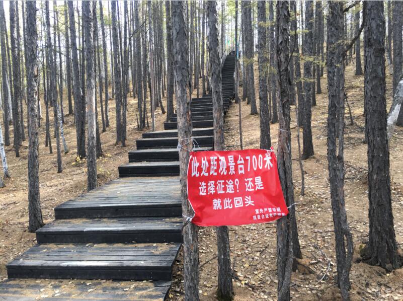 龙山公园爬山