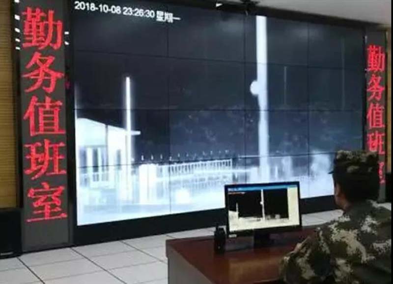 呼伦贝尔边境惊现3000只野生黄羊情况介绍