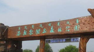 呼伦贝尔海拉尔国家森林公园旅游攻略介绍