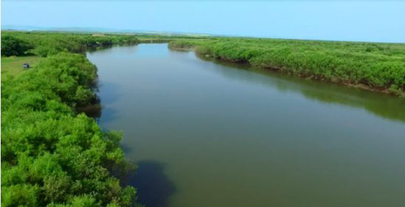 呼伦贝尔特泥河农牧场怎么样？有哪些旅游景点介绍？