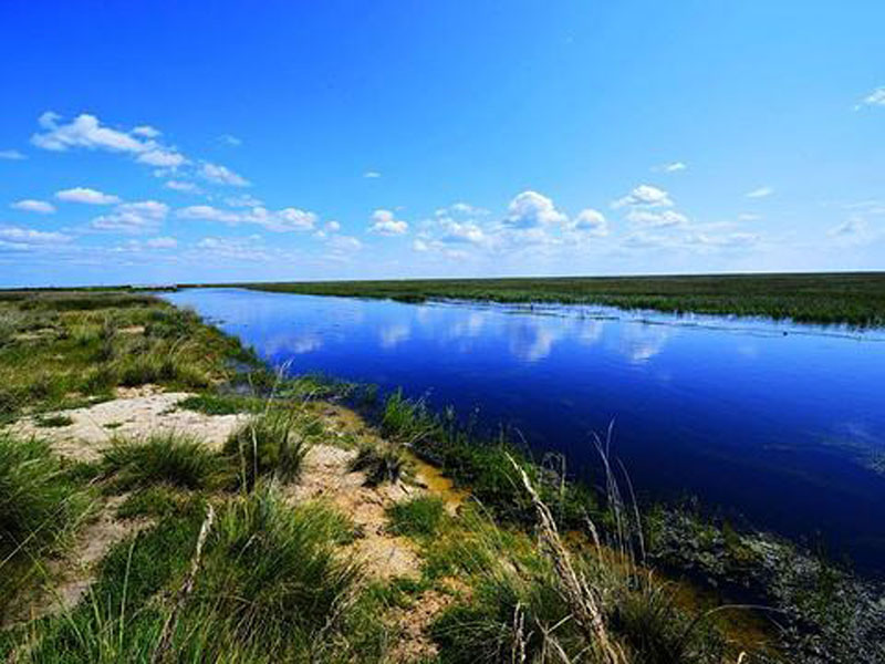 呼伦贝尔新巴尔虎右旗旅游景点乌兰诺尔湿地