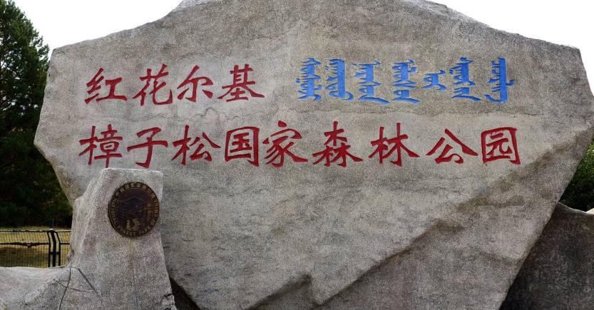 2019到呼伦贝尔鄂温克旗红花尔基国家森林公园？