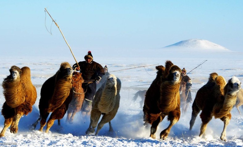 冰雪冬运畅游内蒙古