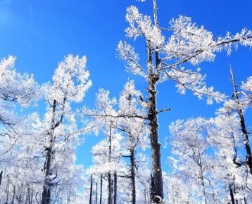 阿尔山冬季旅游特色