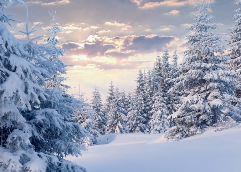 呼伦贝尔冬季多人出游能玩什么？滑雪圈