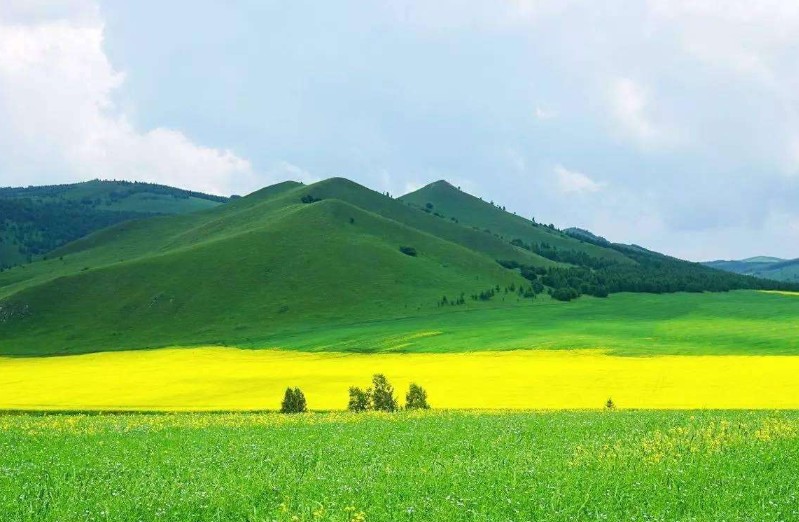 呼伦贝尔大草原