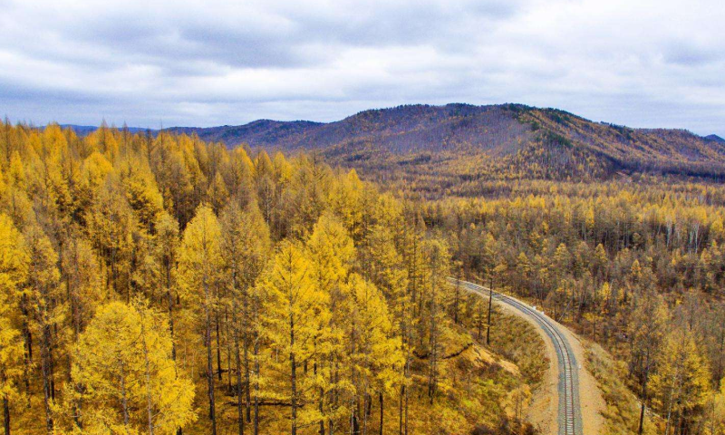 莫尔道嘎国家森林公园秋季
