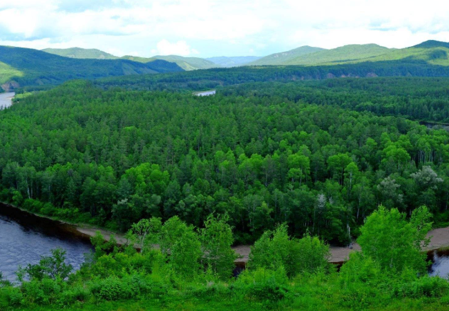 莫尔道嘎国家森林公园夏季和秋季什么时候值得去？