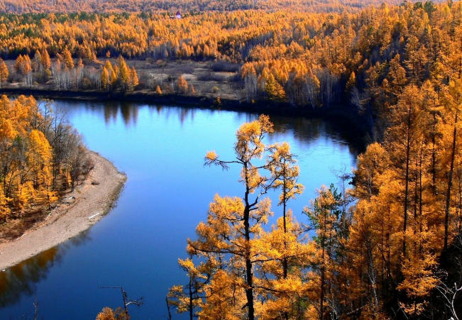 秋季的莫尔道嘎国家森林公园