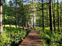 牙克石被列入首批国家森林康养基地公示名单