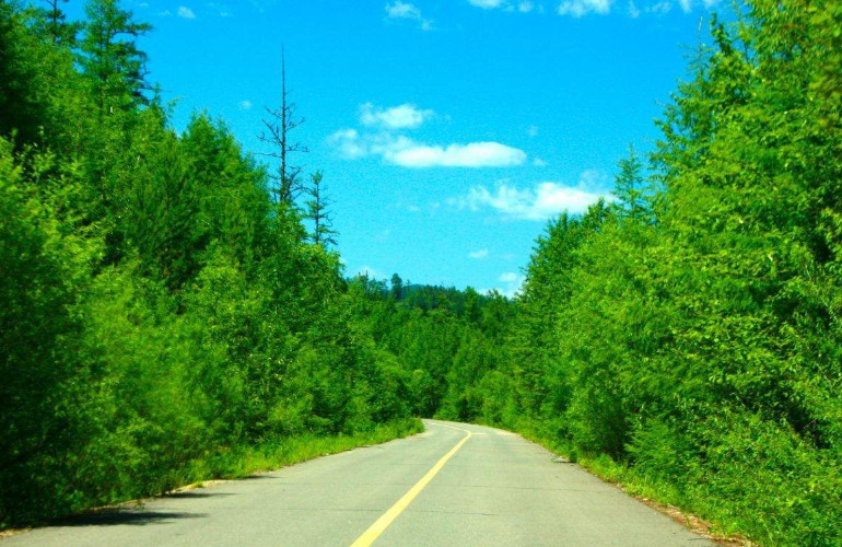 呼伦贝尔林间公路