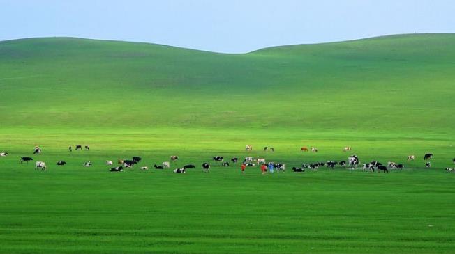 2020年呼伦贝尔旅游怎么样