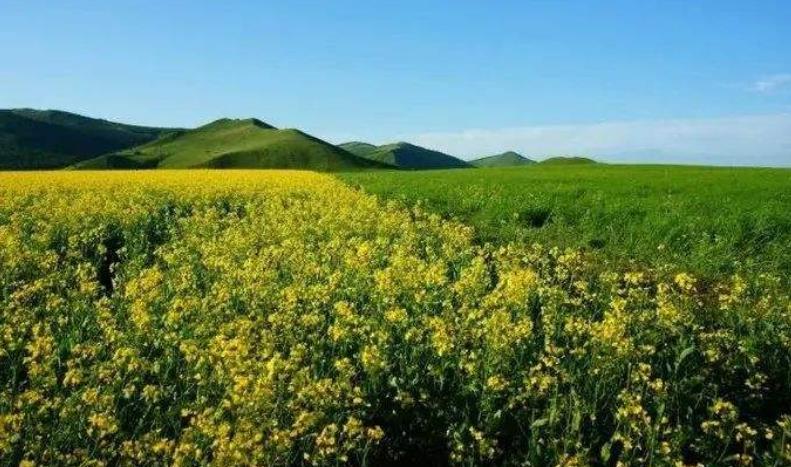 呼伦贝尔旅游什么季节最好