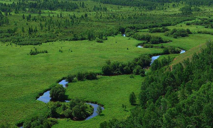 莫尔道嘎国家森林国家公园