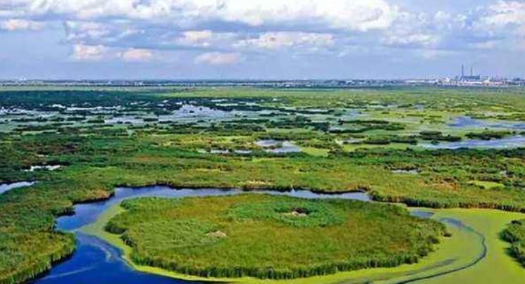 呼伦贝尔湿地公园都在哪？