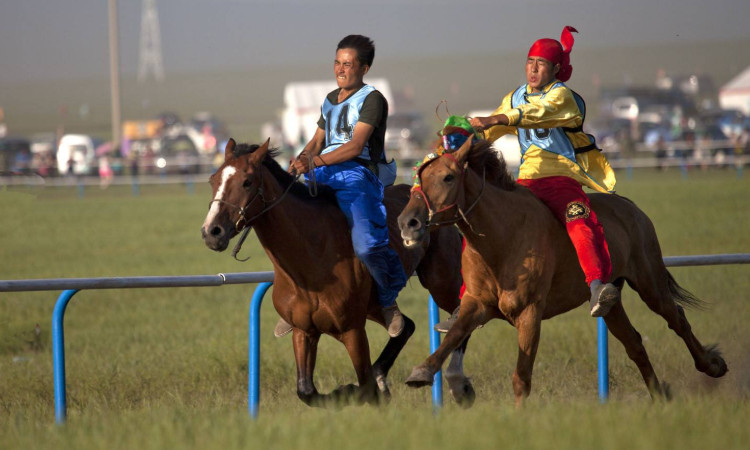 第七届内蒙古国际马术节进行的怎么样了？