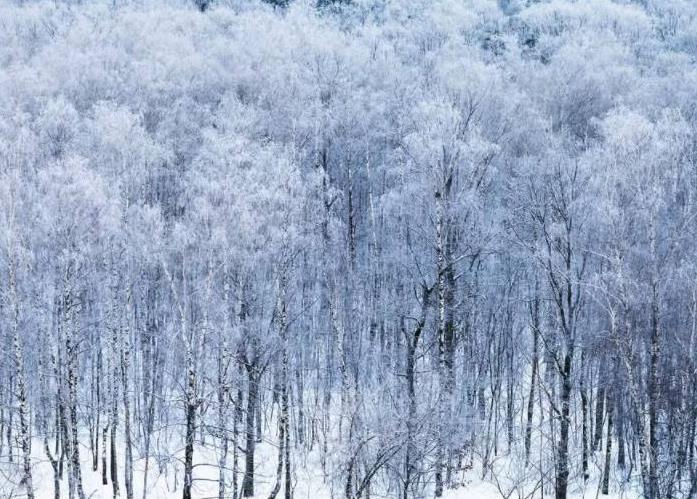 呼伦贝尔下雪旅游