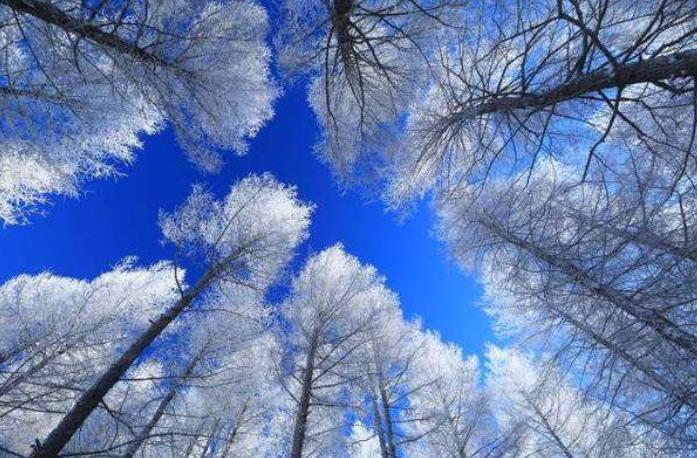 呼伦贝尔下雪旅游攻略