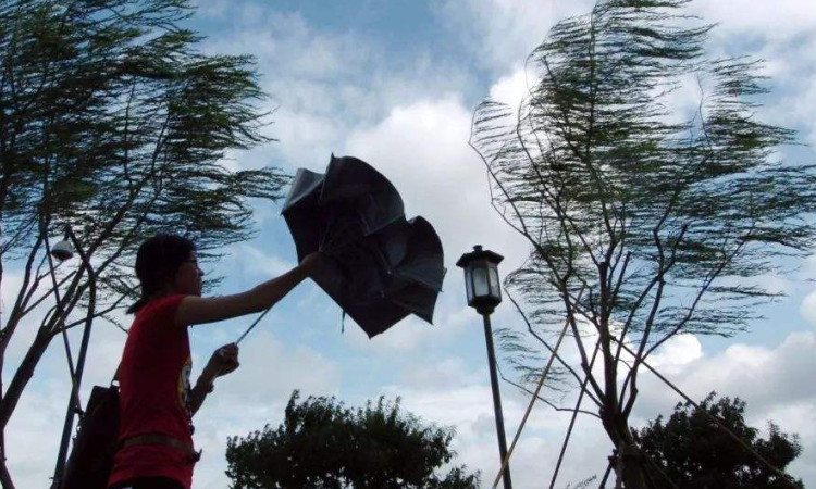 呼伦贝尔市气象台发布大风蓝色预警信号