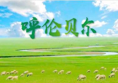 到呼伦贝尔旅游的8种小众玩法，你知道怎么玩吗？
