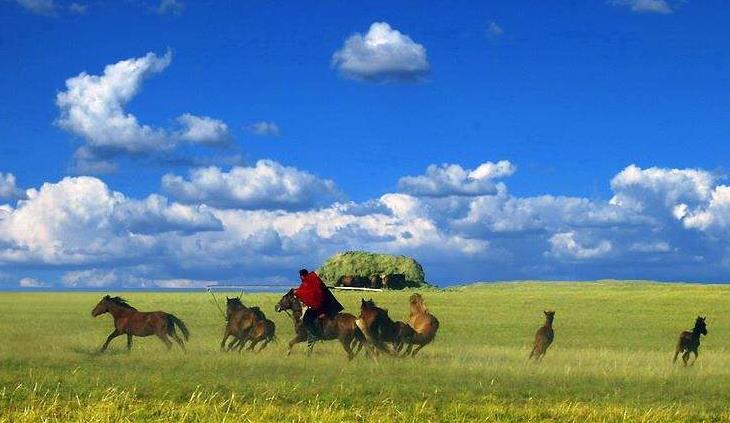 呼伦贝尔的经典旅行路线怎么玩？
