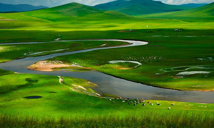 呼伦贝尔大草原旅游团贵吗？行程怎么安排？