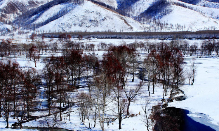呼伦贝尔冬季的莫尔道嘎国家森林公园