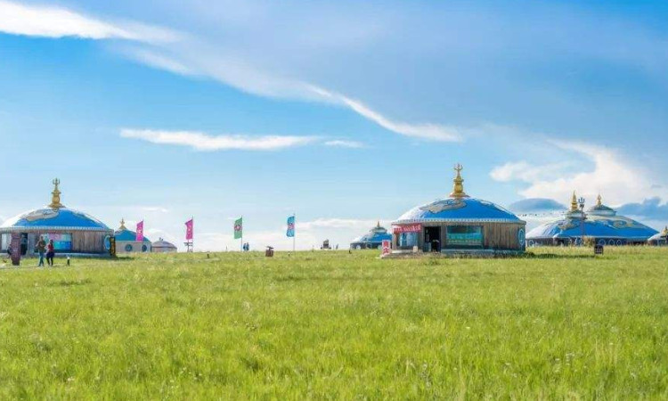 呼伦贝尔旅游防宰客攻略 呼伦贝尔草原旅游宰客情况常见吗
