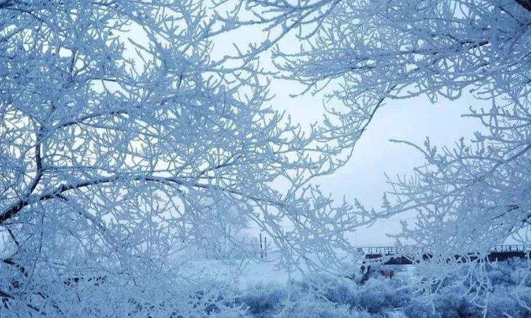 呼伦贝尔冬季旅游的优势与劣势是什么？