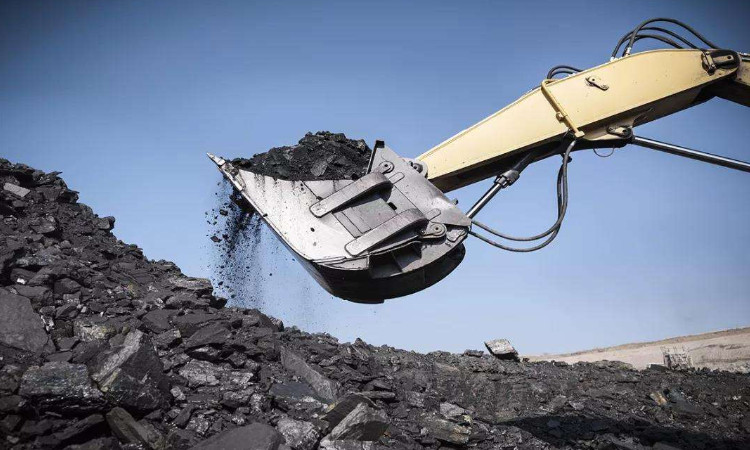 呼伦贝尔市煤炭资源领域的违法问题整治目标是什么？