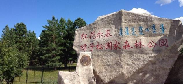 呼伦贝尔森林景观有哪些？红花尔基樟子松国家森林公园
