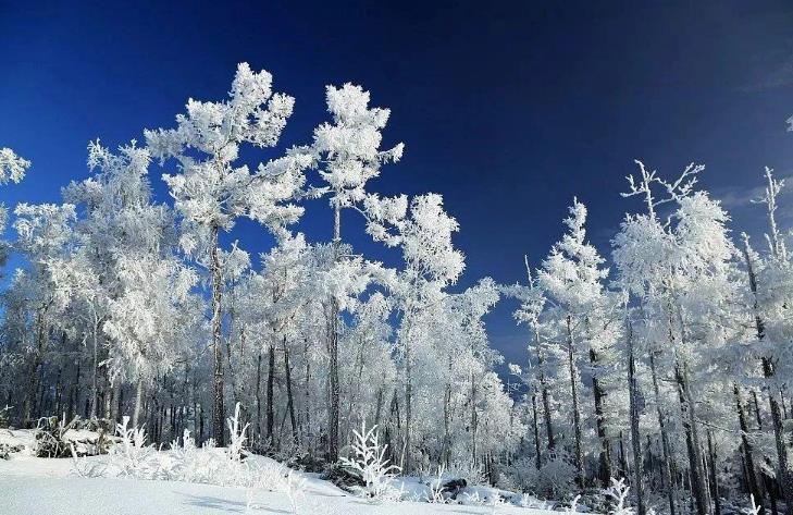 呼伦贝尔冬季冰雪旅游注意事项