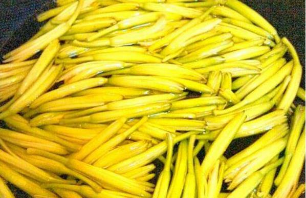 呼伦贝尔山野菜都有哪些？