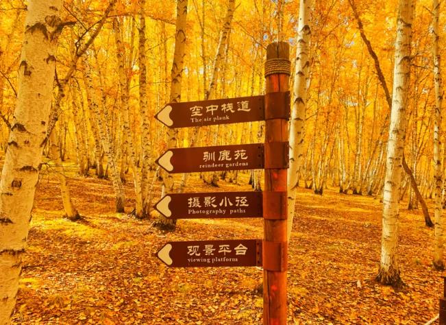 去呼伦贝尔旅游路线推荐