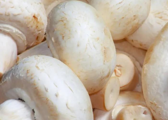 呼伦贝尔海拉尔地方特色白蘑菇